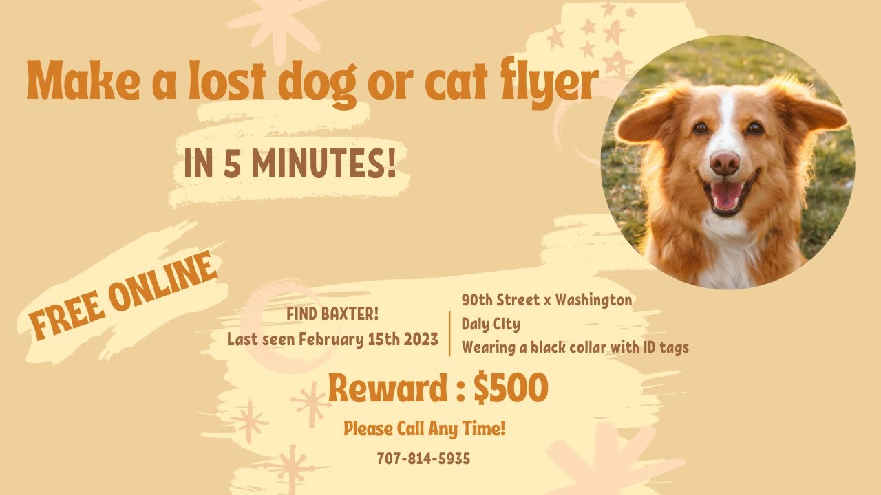 Descubre cómo crear un cartel efectivo para encontrar a tu perro perdido